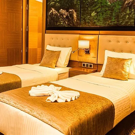 Aselia Hotel