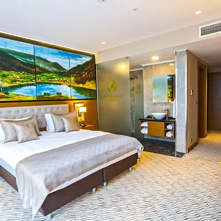 Aselia 4*