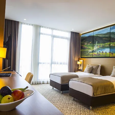 Aselia Hotel Trebizonda