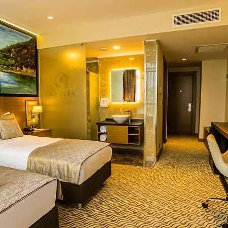 Hotel Aselia 4*