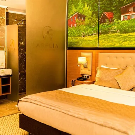 Aselia 4* Trabzon