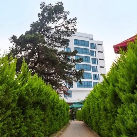 Aselia 4* Trabzon