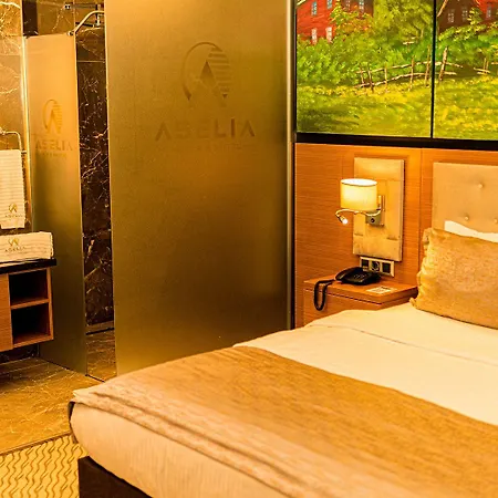 Hotel Aselia 4*