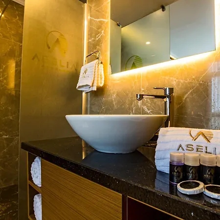 Aselia 4*