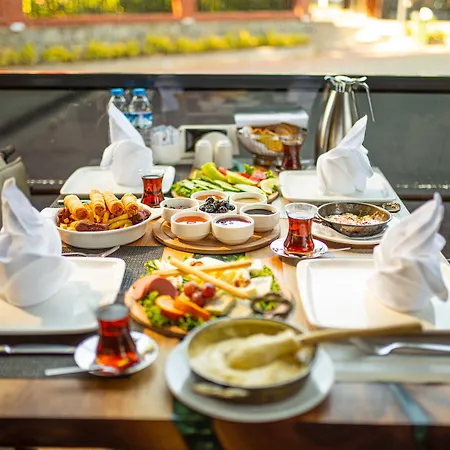 Aselia Hotel 4*
