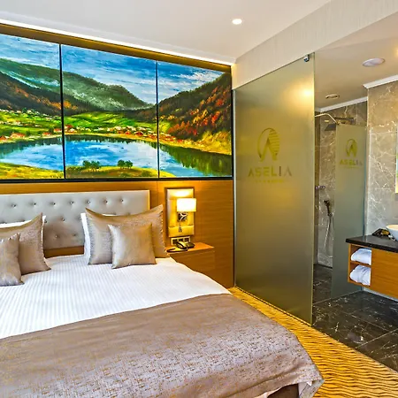 Hotel Aselia 4*
